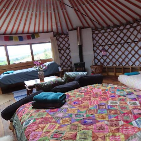 Hotel Annies Land Wales super insulated Fire Yurt à Machynlleth Extérieur photo