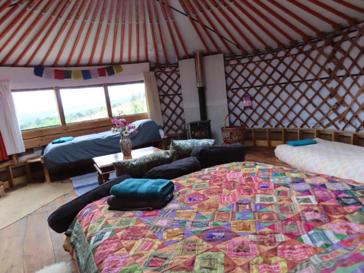 Hotel Annies Land Wales super insulated Fire Yurt à Machynlleth Extérieur photo