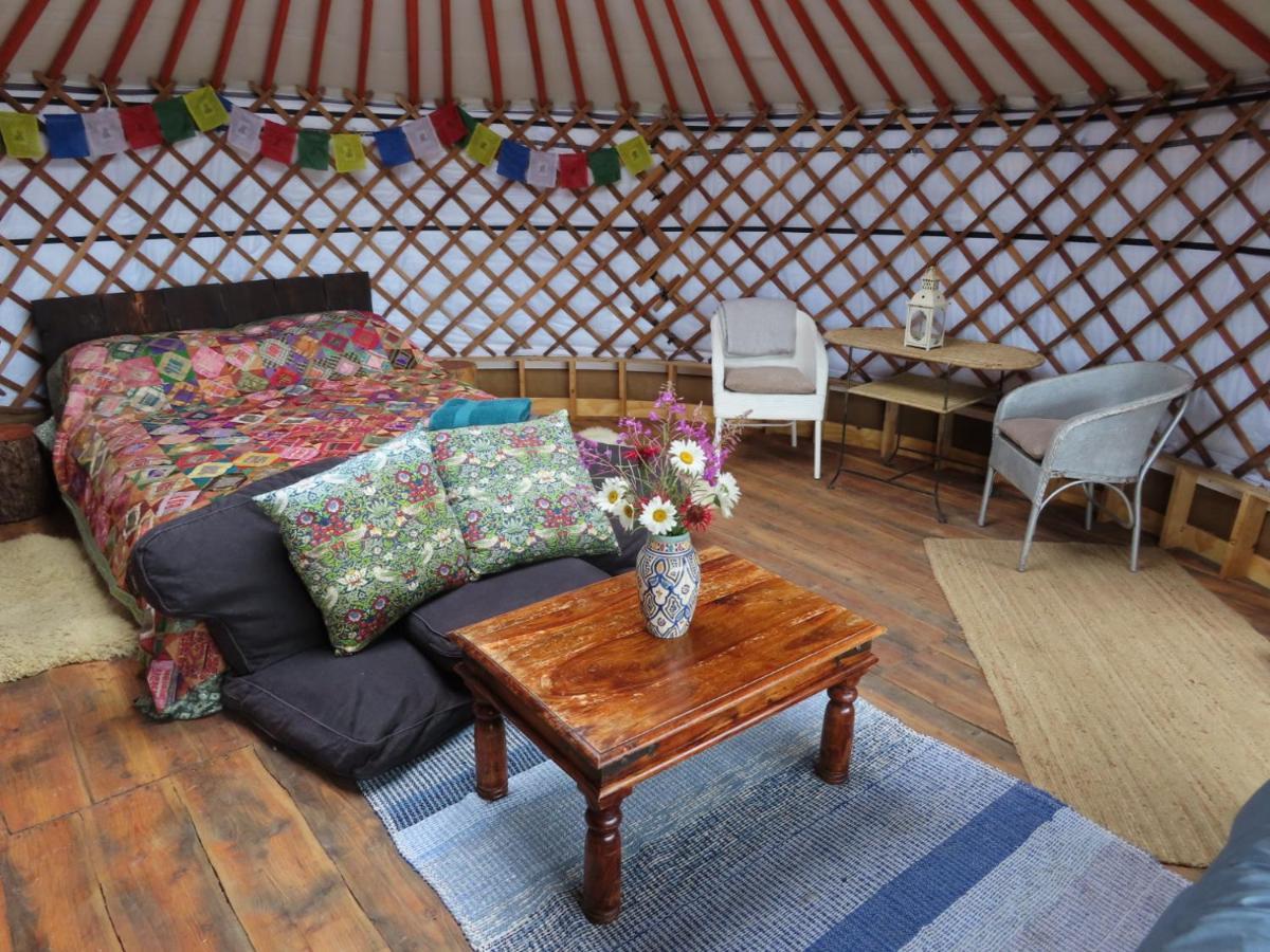 Hotel Annies Land Wales super insulated Fire Yurt à Machynlleth Extérieur photo