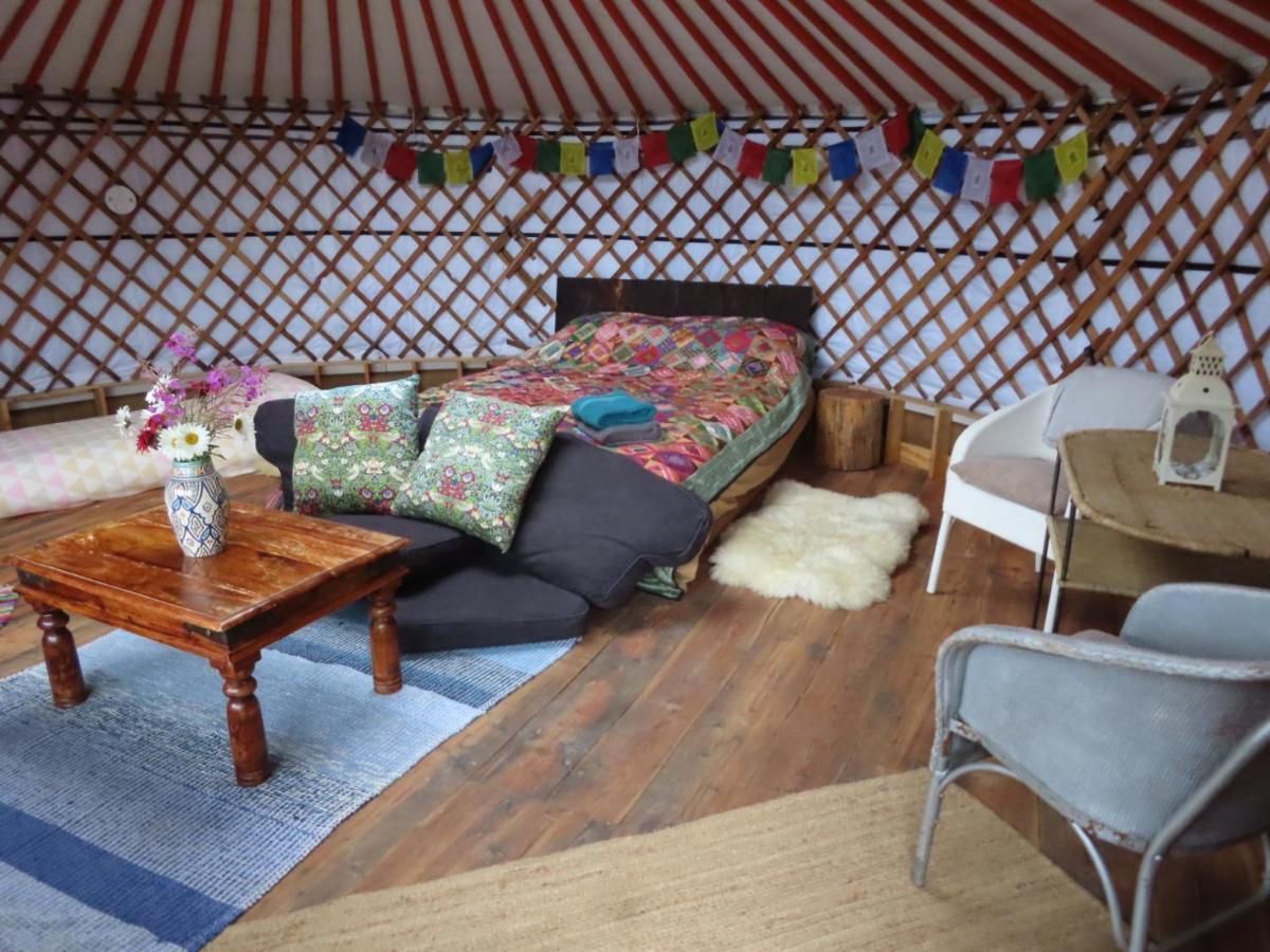 Hotel Annies Land Wales super insulated Fire Yurt à Machynlleth Extérieur photo